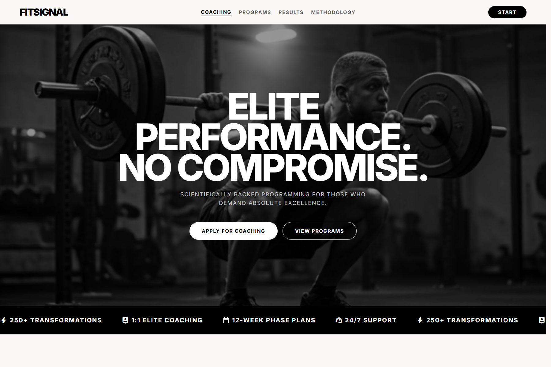 FitSignal website template screenshot