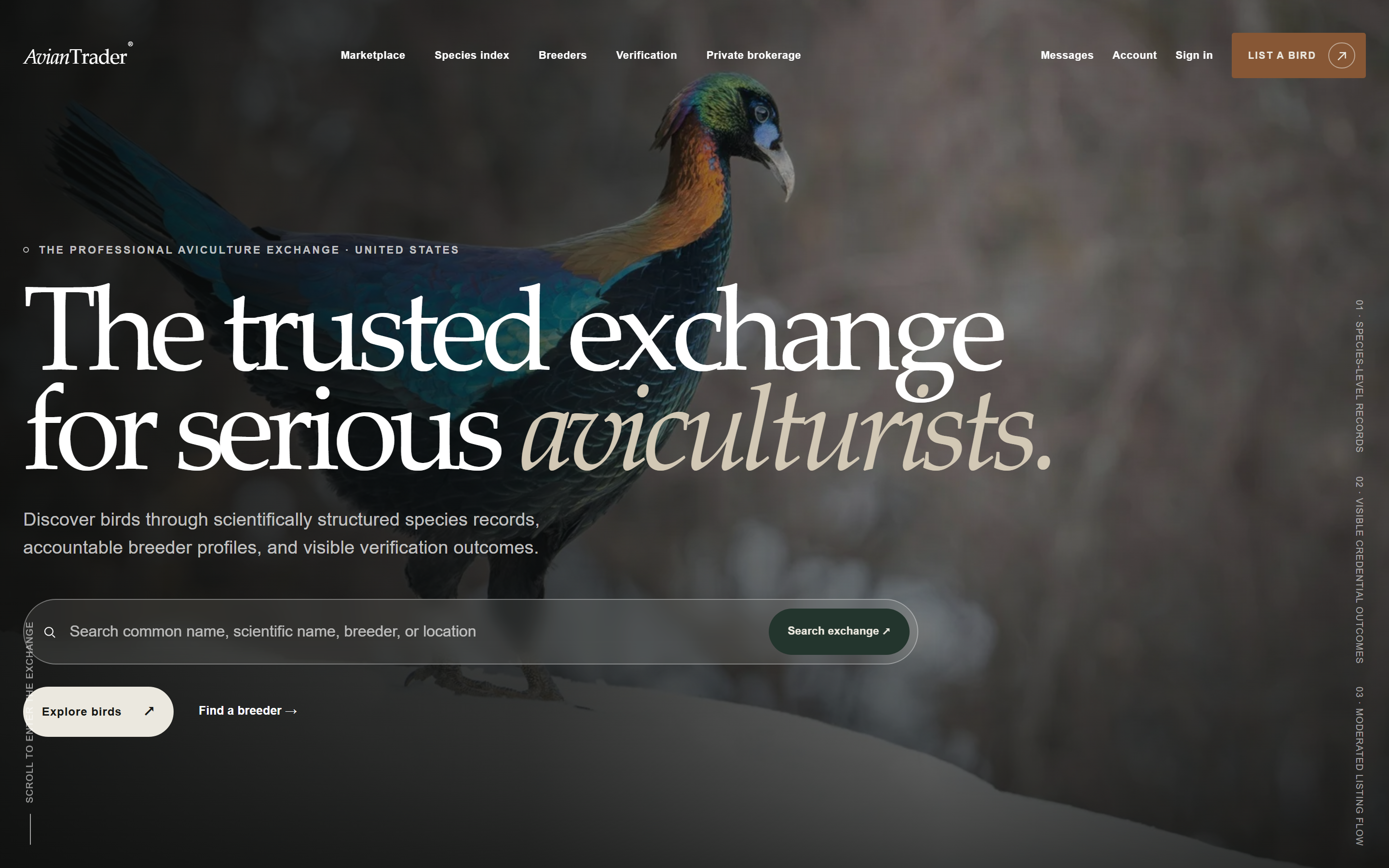 Avian Trader production screenshot