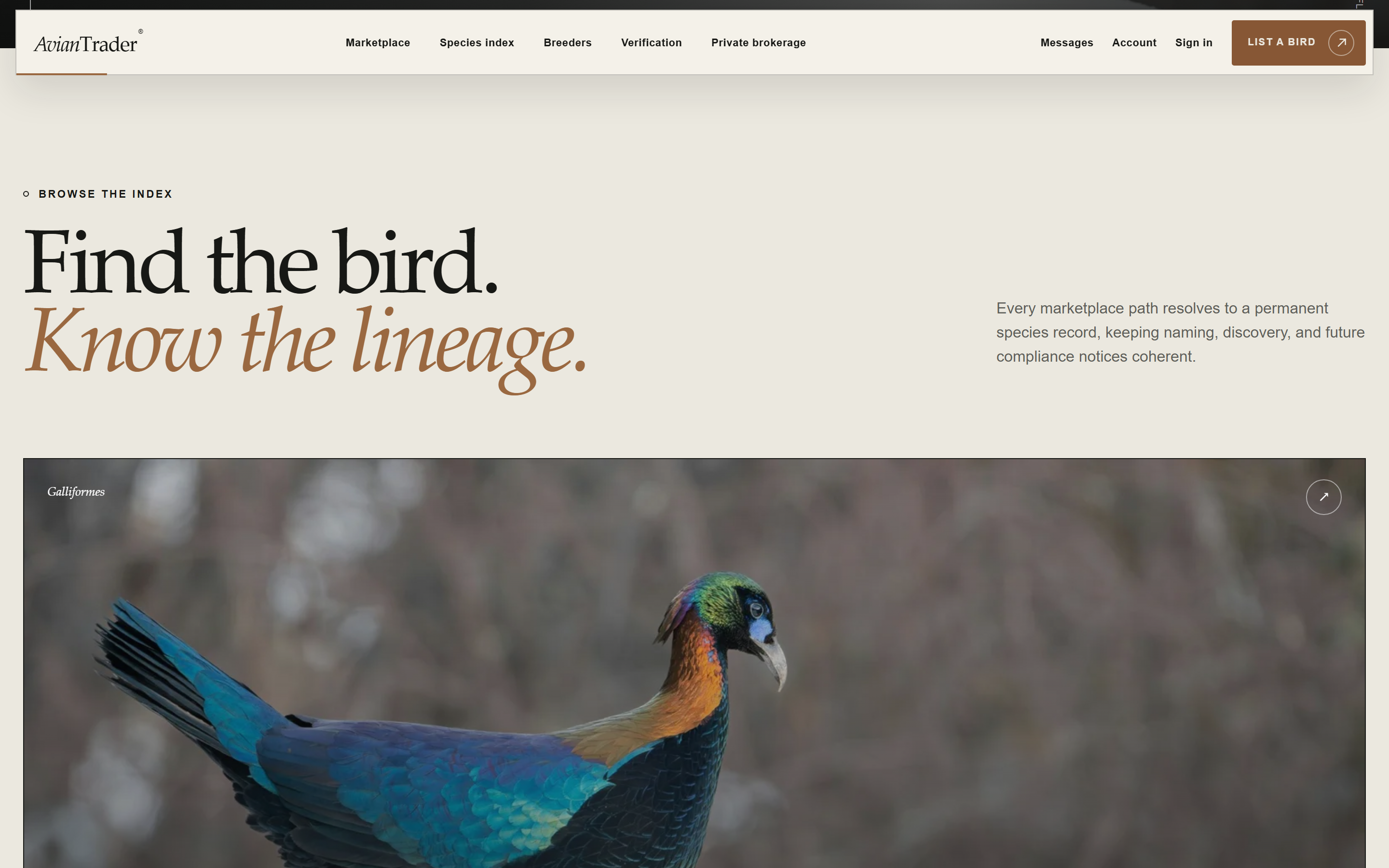 Avian Trader — Specimen detail cards with breeder review badges and supporting documentation