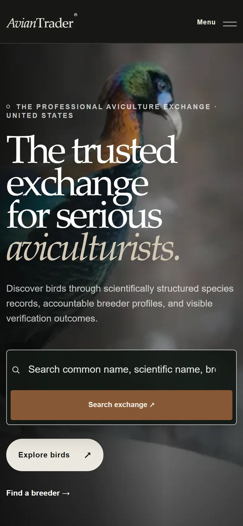 Avian Trader mobile interface