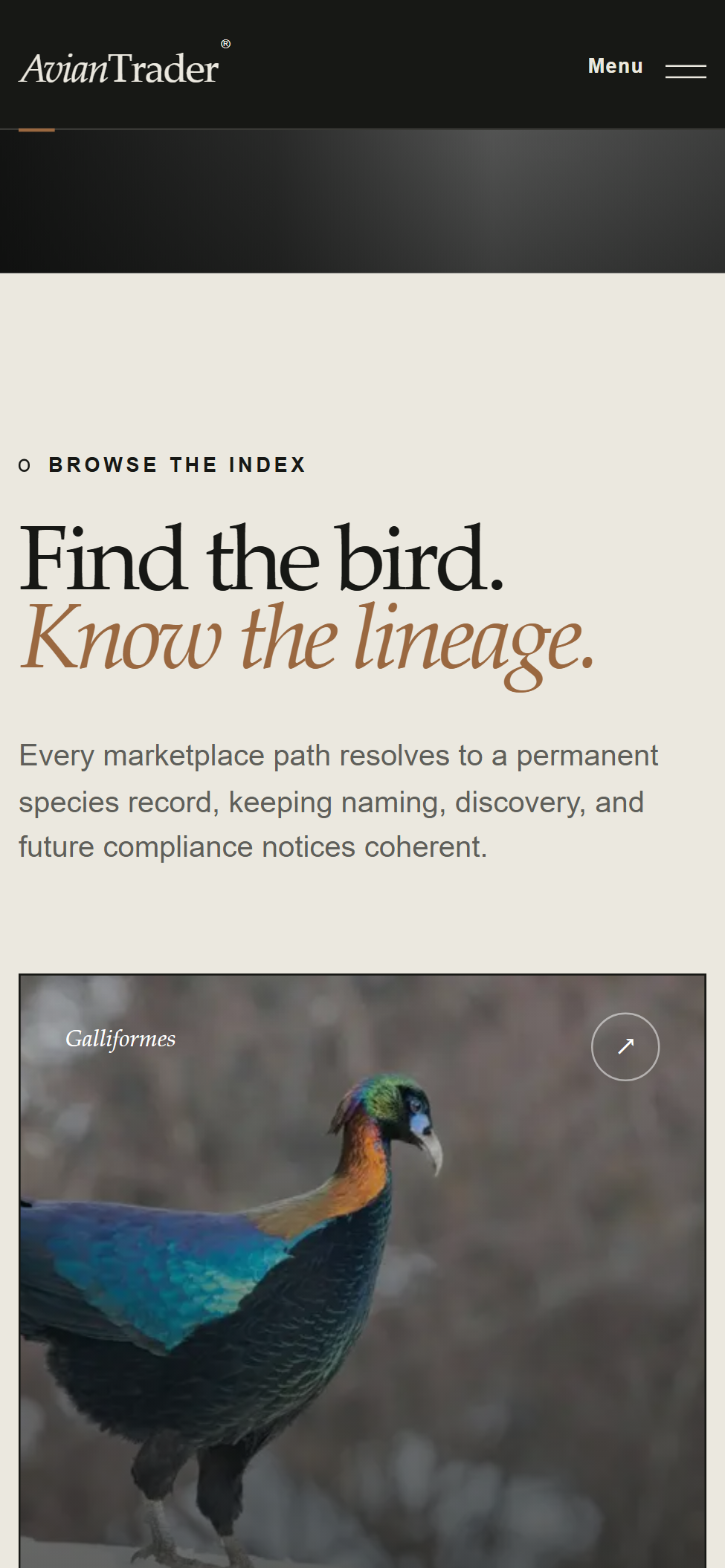 Avian Trader mobile specimen feed