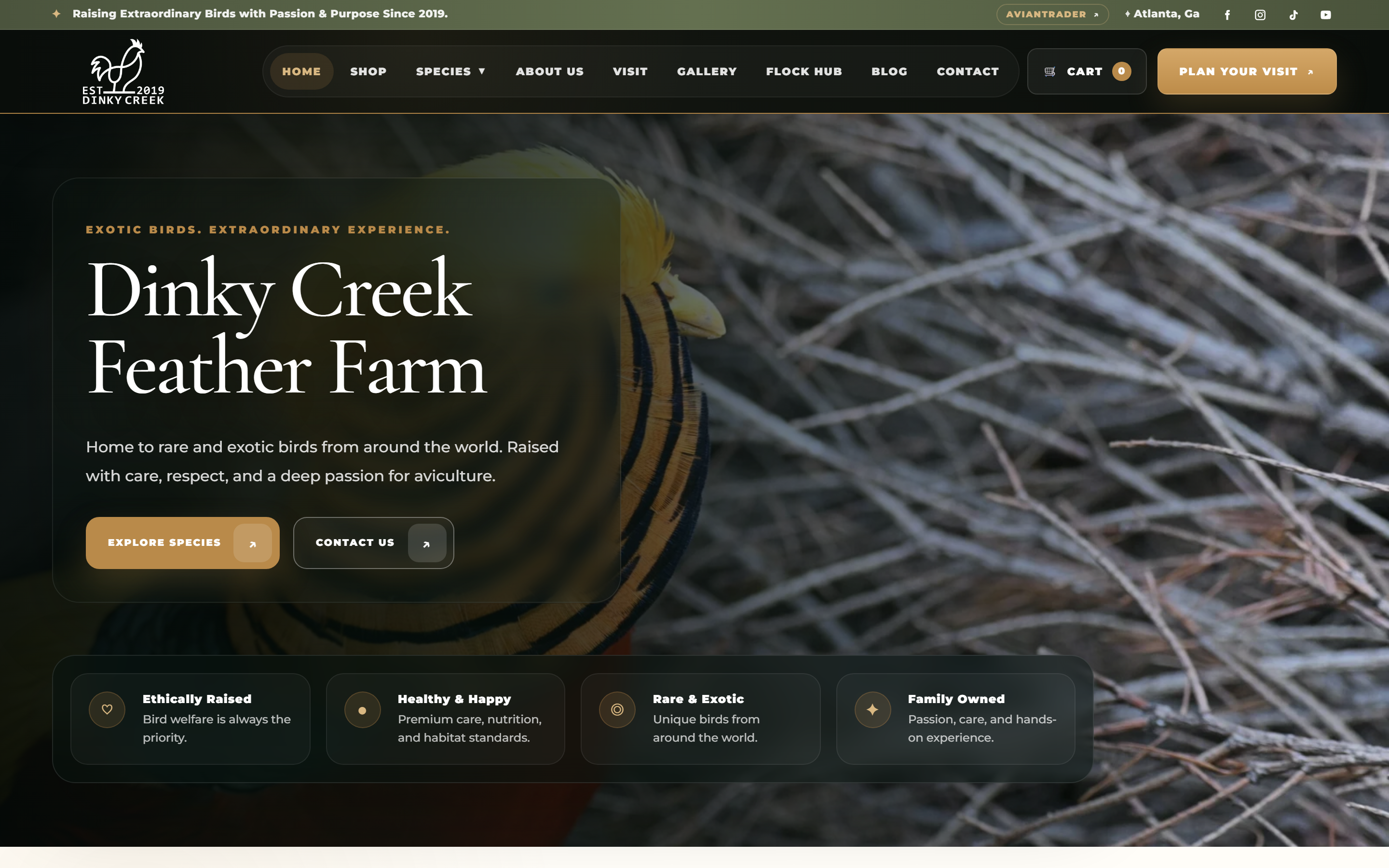 Dinky Creek Feather Farm production screenshot