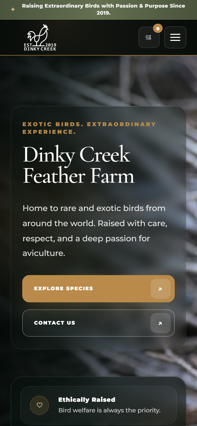 Dinky Creek Feather Farm mobile hero screen